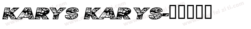 Karys KARYS字体转换